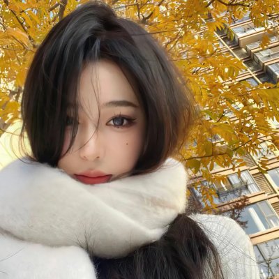 捕蝇纸
